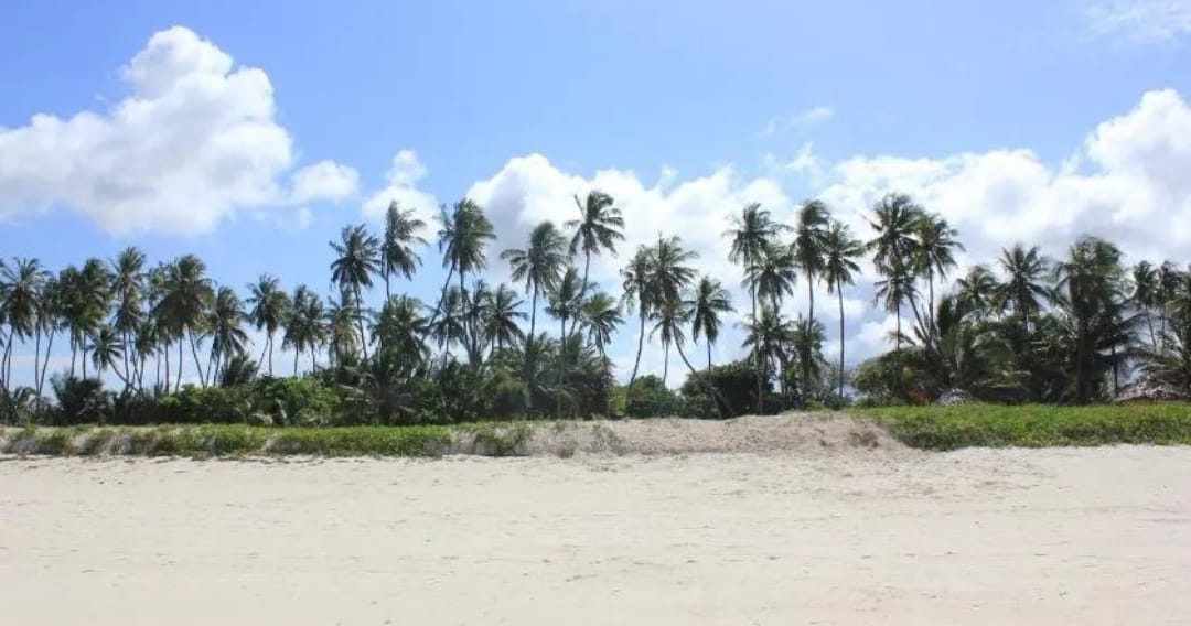 Diani Beach Apartment gallery 9