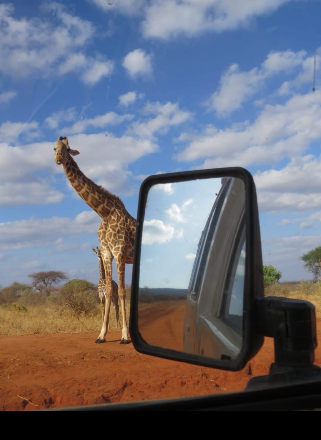 Safari landscape along the SGR railway route in Tsavo