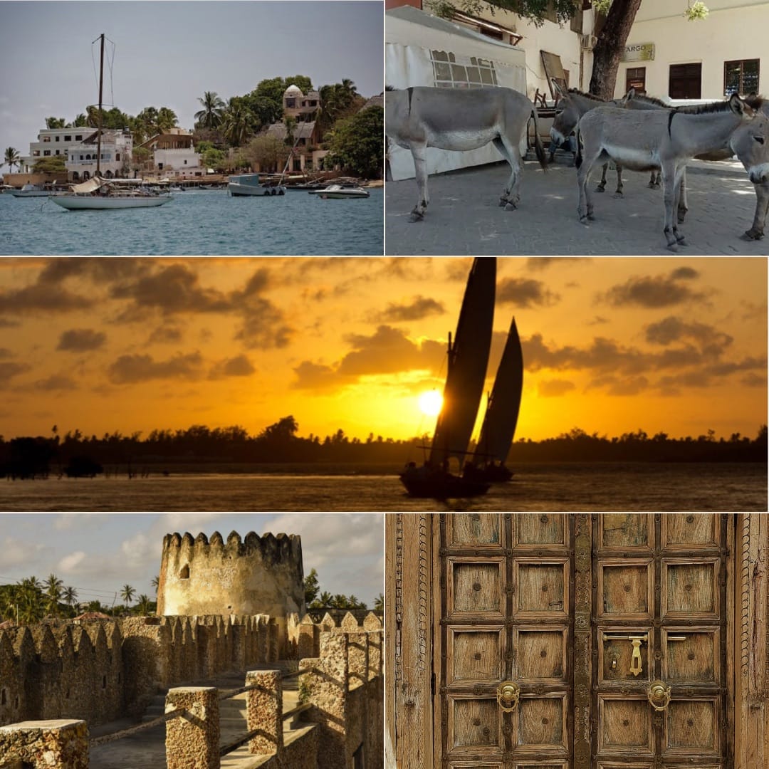 Lamu island travel experience
