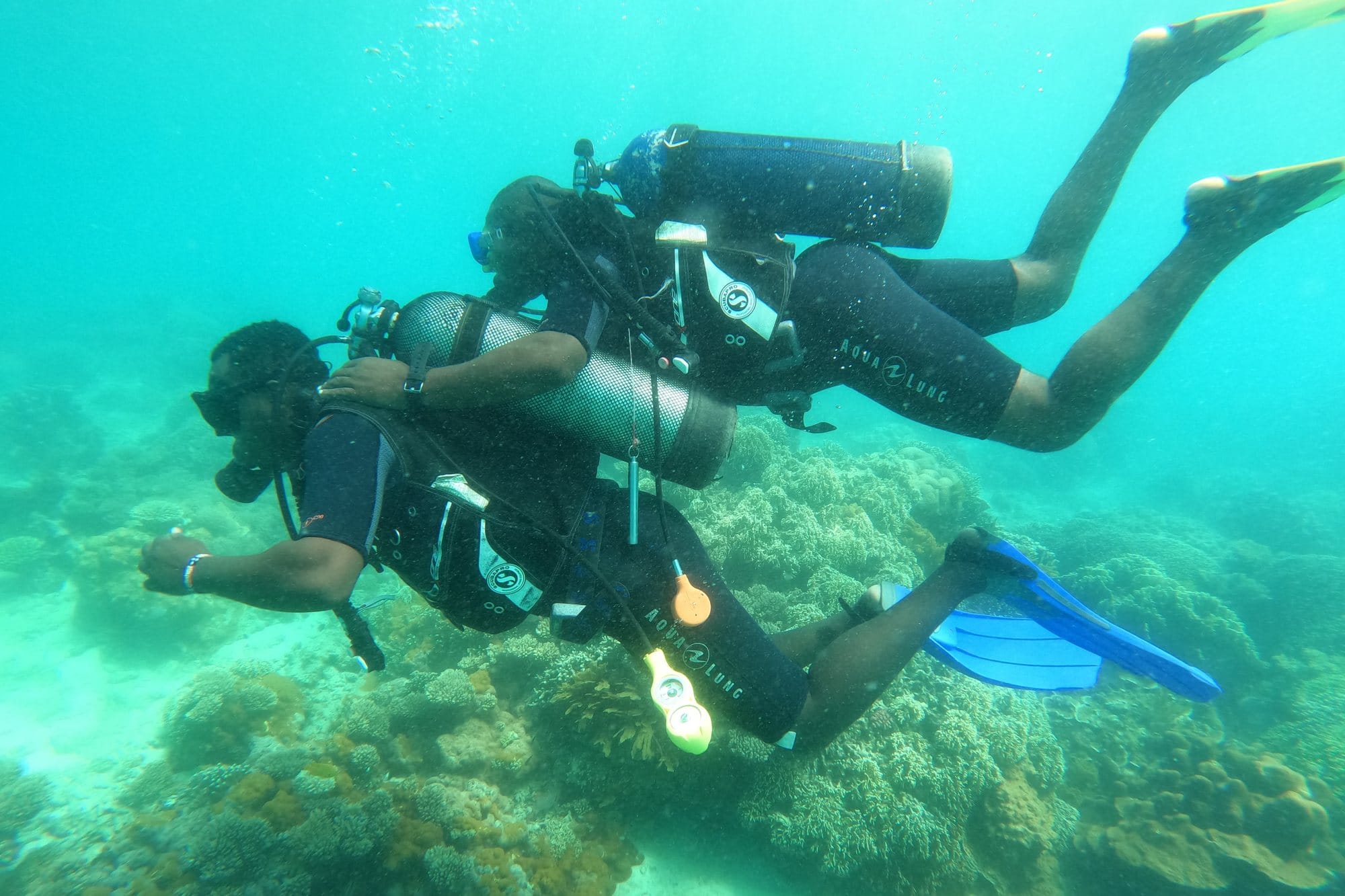 Wasini Island & Kisite-Mpunguti Marine Safari in Coast, Kenya
