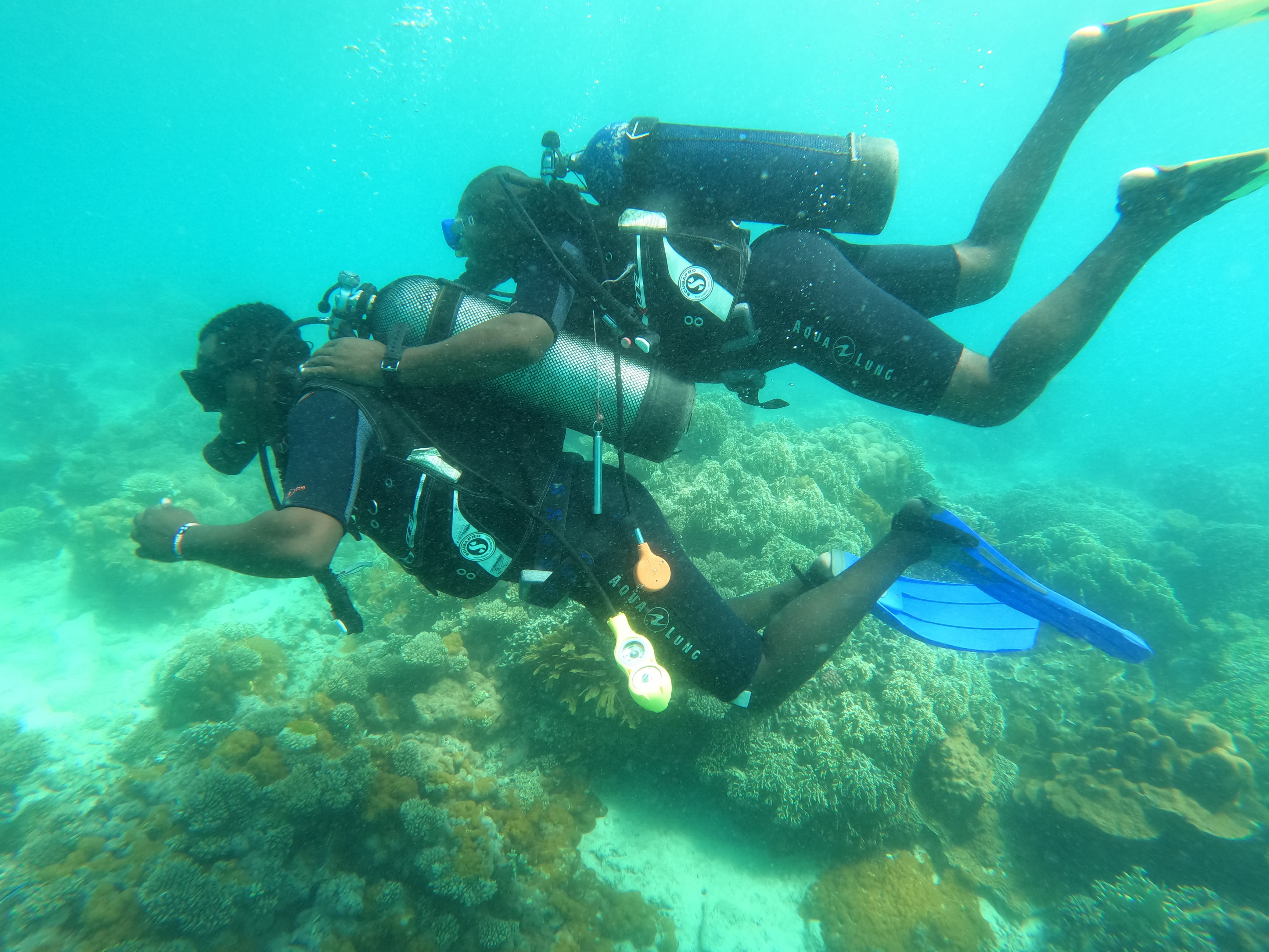 Kisite-Mpunguti Marine Park